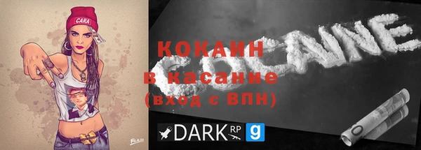 бошки Новодвинск