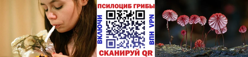 Галлюциногенные грибы Magic Shrooms Байкальск
